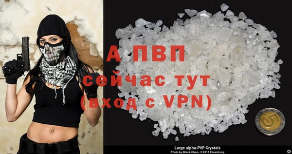 дмт Абаза