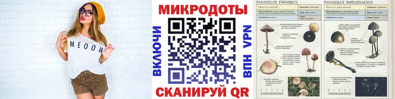 Псилоцибиновые грибы Magic Shrooms mega как войти Нижняя Тура
